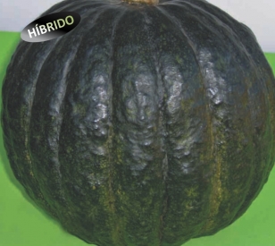 Chimia de Abóbora (300g) - Quinta das Tarumãs